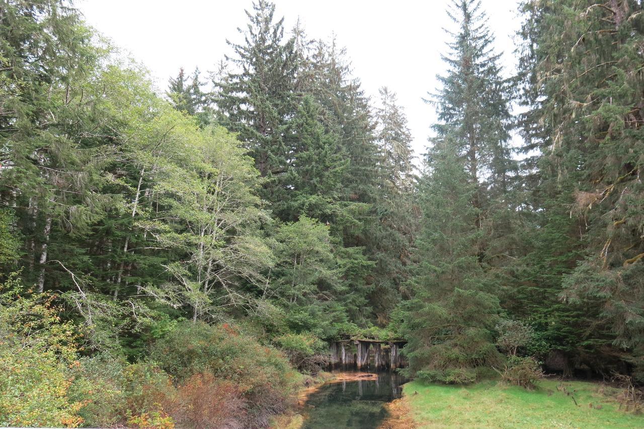 Villa A Shack In The Woods à Port Renfrew Extérieur photo